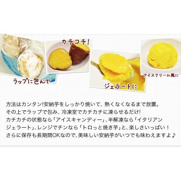 さつまいも 種子島産 訳あり 安納芋 焼き芋 1.5kg 送料無料 さつま芋 スイーツ サツマイモ 《1-5営業日以内に出荷予定（土日祝日除く）》05