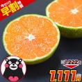 【予約解禁★1222円⇒早割1111円】小玉 みかん 送料無料 訳あり ミカン 小粒 1.5kg 【5kg以下(5キロ・5k)  家庭用 サイズ 箱買い 】 果物 小粒 熊本 極早生 柑橘 九州 