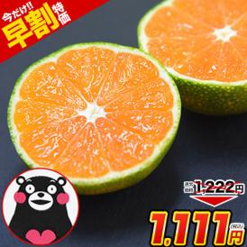 【予約解禁★1222円⇒早割1111円】小玉 みかん 送料無料 訳あり ミカン 小粒 1.5kg 【5kg以下(5キロ・5k)  家庭用 サイズ 箱買い 】 果物 小粒 熊本 極早生 柑橘 九州 