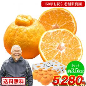 福岡農園 不知火 柑橘 3.5kg前後 送料無料 熊本県産  果物 フルーツ お年賀 ギフト デコポン と同品種1月中旬-1月下旬に発送予定