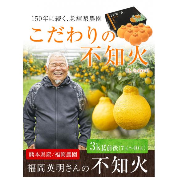 福岡農園 不知火 柑橘 3.5kg前後 送料無料 熊本県産  果物 フルーツ お年賀 ギフト デコポン と同品種1月中旬-1月下旬に発送予定02