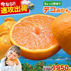 あの デコポン と同品種！1セットから送料無料！