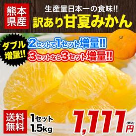 【セット購入がお得★おまけ特典】 甘夏 みかん 訳あり 1.5kg 送料無料 熊本県産 名産地 旬のみかん 柑橘 果物 フルーツ 旬 ※皮むき器プレゼント中！《3-7営業日以内に出荷(土日祝除く)》