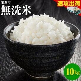 業務用無洗米 10kg(5kg×2) コメ 無洗米 白米 熊本 非常食 保存食 業務用《1-5営業日以内に出荷(土日祝日除く)》