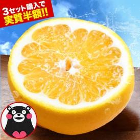  河内晩柑 1.5kg 送料無料 和製 グレープフルーツ フルーツ 果物 みかん 4.5kg  9kg 訳あり 柑橘 晩柑 熊本県産 《1-5営業日発送予定（土日除く）》