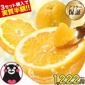 セット購入で無料おまけ付き！