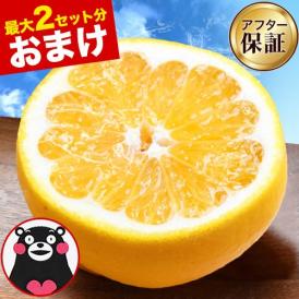 河内晩柑 1.5kg 送料無料 和製 グレープフルーツ フルーツ 果物 みかん 4.5kg  7.5kg 訳あり 柑橘 晩柑 熊本県産 《1-5営業日発送（土日除く）》