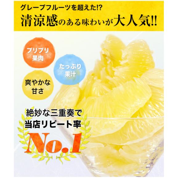  【3セット購入で実質半額！！】河内晩柑 1.5kg 送料無料 和製 グレープフルーツ フルーツ 果物 みかん 4.5kg  9kg 訳あり 柑橘 晩柑 熊本県産 《1-5営業日発送予定（土日除く）》04