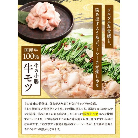 もつ鍋 本格醤油味 4～5人前 送料無料 夏バテ予防 国産 牛 もつ 500g ちゃんぽん麺 付き 醤油 ちゃんぽん 冷凍 博多 福岡 【3-7営業日以内に配送予定】02