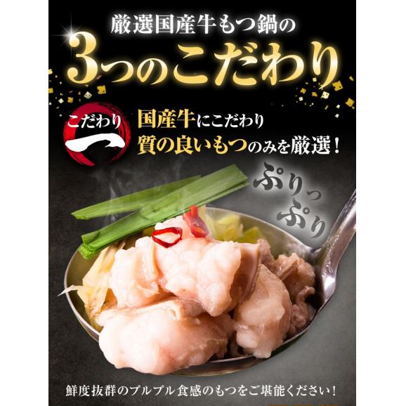 【最大2000円OFFクーポン配布中！】 もつ鍋 本格醤油味 5人前 送料無料 国産 牛 もつ 500g ちゃんぽん麺 付き 醤油 ちゃんぽん 冷凍 博多 福岡 【1-5営業以内発送予定(土日祝除)】02
