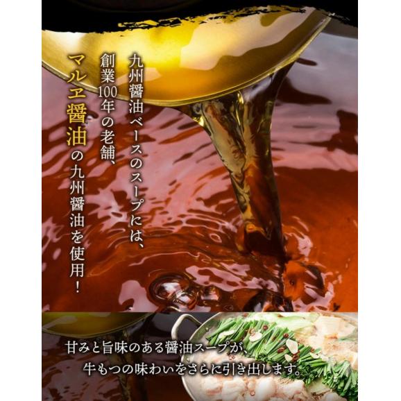 もつ鍋 本格醤油味 4～5人前 送料無料 夏バテ予防 国産 牛 もつ 500g ちゃんぽん麺 付き 醤油 ちゃんぽん 冷凍 博多 福岡 【3-7営業日以内に配送予定】04