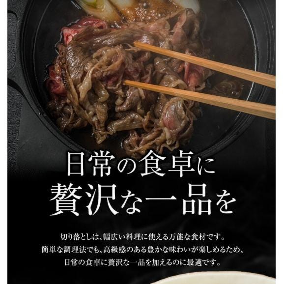 黒毛和牛 赤身 切り落とし 訳あり こま切れ肉 送料無料 500g 便利 真空パック 九州産 細切れ 牛肉 牛丼 肉 和牛 ウデ モモ《1-5営業日以内に発送予定》02