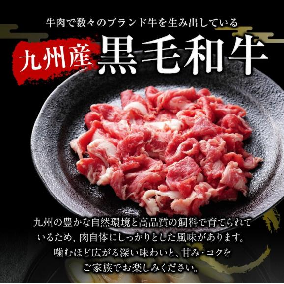 黒毛和牛 赤身 切り落とし 訳あり こま切れ肉 送料無料 500g 便利 真空パック 九州産 細切れ 牛肉 牛丼 肉 和牛 ウデ モモ《1-5営業日以内に発送予定》03