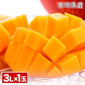 宮崎県産 完熟 マンゴー 1玉 化粧箱入り (3Lサイズ:約450g〜約509g) 送料無料 健康 ギフト 贈答 お取り寄せ 【6月下旬-7月上旬頃より発送予定】