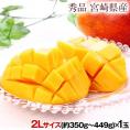 宮崎県産 完熟 マンゴー 1玉 (2Lサイズ: 約350g〜約449g) 送料無料 健康 ギフト お取り寄せ 【6月下旬～7月上旬より発送予定】