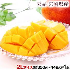 宮崎県産 完熟 マンゴー 1玉 (2Lサイズ: 約350g〜約449g) 送料無料 健康 ギフト お取り寄せ 【6月下旬～7月上旬より発送予定】