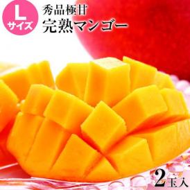 宮崎県産 完熟 マンゴー 2玉 化粧箱入り (Lサイズ:約310g〜約349g) 送料無料 お中元 健康 ギフト お取り寄せ 【6月下旬～7月上旬発送予定】