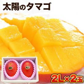 【本場宮崎県産 果物の女王 太陽のタマゴ 2玉 化粧箱入り】（2Lサイズ）「1玉約350g〜約449g」 ギフト 食べ物 贈答 スイーツ【送料無料】 6月下旬～7月上旬出荷予定