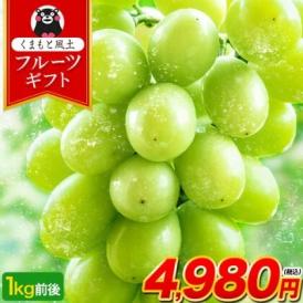 【最大1,500円OFF★送料無料 ★】 シャインマスカット 1kg前後  フルーツギフト 贈答用 プレゼント ギフト 果物 マスカット ぶどう ブドウ 九州産 【3-7営業日に出荷予定】