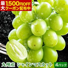 【最大1,500円OFF★送料無料 ★】 シャインマスカット 1kg-1.2kg前後 贈答用 プレゼント ギフト 果物 マスカット ぶどう 九州産 熨斗 《3-7営業日以内に発送予定(土日祝除く)》