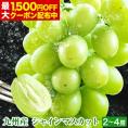 【最大1,500円OFF★送料無料 ★】 シャインマスカット 1kg-1.2kg前後 贈答用 プレゼント ギフト 果物 マスカット ぶどう ブドウ 九州産 皮ごと 熨斗《7月末-8月中旬に出荷予定》