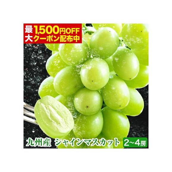 【最大1,500円OFF★送料無料 ★】 シャインマスカット 1kg-1.2kg前後 贈答用 プレゼント ギフト 果物 マスカット ぶどう ブドウ 九州産 皮ごと 熨斗《7月末-8月中旬に出荷予定》01