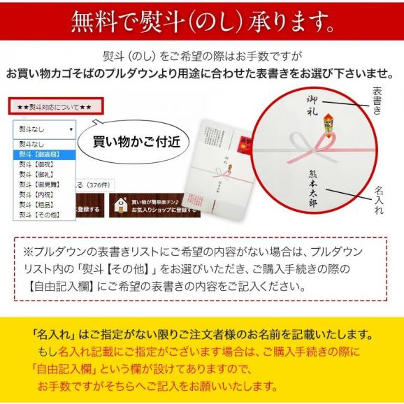 【最大1,500円OFF★送料無料 ★】 シャインマスカット 1kg-1.2kg前後 贈答用 プレゼント ギフト 果物 マスカット ぶどう ブドウ 九州産 皮ごと 熨斗《7月末-8月中旬に出荷予定》06