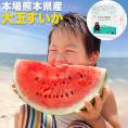 スイカ 熊本 1玉 大玉 すいか お中元 訳あり ジャンボスイカ 送料無料 熊本県産 6kg以上 旬 の 果物 夏 キャンプ 家庭用 自家用 フルーツ 果物 甘い 訳あり《3－7営業日以内に発送予定