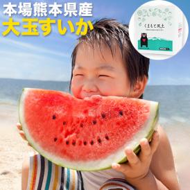 スイカ 熊本 1玉 大玉 すいか お中元 訳あり ジャンボスイカ 送料無料 熊本県産 6kg以上 旬 の 果物 夏 キャンプ 家庭用 自家用 フルーツ 果物 甘い 訳あり《3－7営業日以内に発送予定