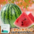 秋すいか 熊本 大玉 スイカ すいか お中元 訳あり ジャンボスイカ 送料無料  熊本県産 6kg以上 旬 の 果物 夏 キャンプ 家庭用 自家用 フルーツ 果物 甘い 《7-14営業以内に発送予定》