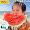 大玉 すいか 6kg以上 熊本県産 送料無料 スイカ お中元 訳あり ジャンボスイカ 熊本 旬 の 果物 夏 キャンプ 家庭用 自家用 フルーツ 果物 甘い 《1-5営業日以内に出荷予定》