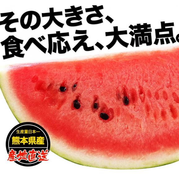 スイカ 熊本 1玉 大玉 すいか お中元 訳あり ジャンボスイカ 送料無料 熊本県産 6kg以上 旬 の 果物 夏 キャンプ 家庭用 自家用 フルーツ 果物 甘い 訳あり《3－7営業日以内に発送予定02