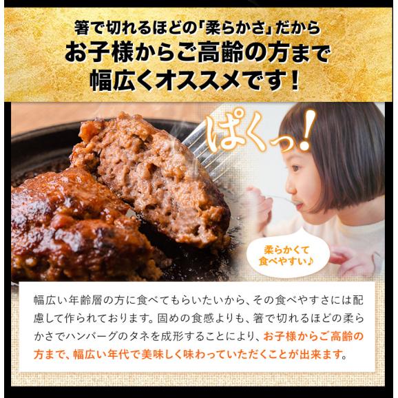 本格 生 ハンバーグ 黒毛和牛100% 生ハンバーグ 専門店監修 140g×10個入 1kg 以上 黒毛和牛 冷凍 牛肉 牛 冷凍食品 冷凍 冷凍ハンバーグ《1-5営業日以内に出荷予定(土日祝除)》05