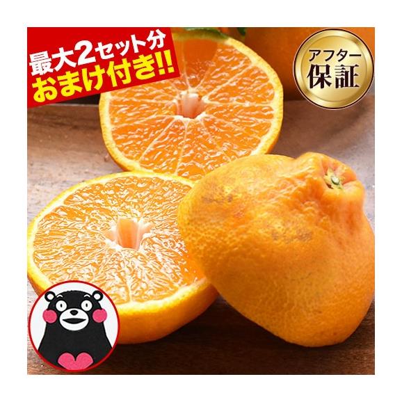 Amazon.co.jp: 熊本 不知火 みかん デコポン 贈答用 化粧箱 6玉