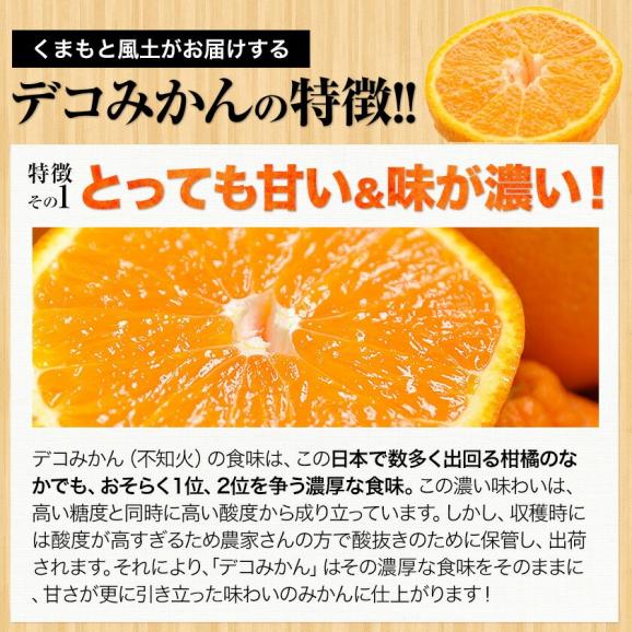 熊本県産 訳あり デコみかん 送料無料  1.5kg 不知火 みかん ミカン デコポン 同品種 熊本 柑橘  《7-14営業日以内に出荷予定（土日祝日を除く）》03