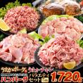 総重量1,720g! お肉5種 バラエティセット 肉 豚肉 鶏肉 ハンバーグ 5種 大容量《1-5営業日以内発送予定(土日祝除く)》
