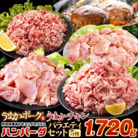 総重量1,720g! お肉5種 バラエティセット 肉 豚肉 鶏肉 ハンバーグ 5種 大容量《5月中旬頃～5月下旬頃出荷予定》