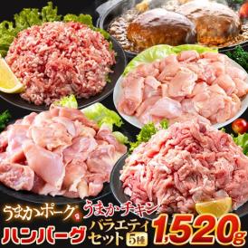 総重量1,520g! お肉5種 バラエティセット 肉 豚肉 鶏肉 ハンバーグ 5種 大容量《1-5営業日以内発送予定(土日祝除く)》