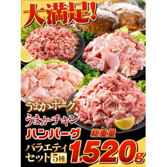 総重量1,520g! お肉5種 バラエティセット 肉 豚肉 鶏肉 ハンバーグ 5種 大容量《1-5営業日以内発送予定(土日祝除く)》02