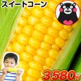 とうもろこし スイートコーン すごあまこーん 卯野農場 約2.1kg～約2.8kg 7本入り (3L~L サイズ) 7月下旬～8月上旬頃より発送予定
