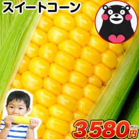 とうもろこし スイートコーン すごあまこーん 卯野農場 約2.1kg～約2.8kg 7本入り (3L~L サイズ) 7月下旬～8月上旬頃より発送予定