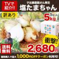 【セット購入でお得！！】塩たまちゃん 訳あり 5kg 送料無料 熊本県産 子出藤 さん の 塩 タマネギ 塩玉 塩玉ねぎ 玉ねぎ たまねぎ  ≪7-14営業日以内発送予定(土日祝除く）≫