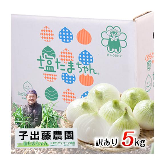 【セット購入でお得！！】塩たまちゃん 訳あり 5kg 送料無料 熊本県産 子出藤 さん の 塩 タマネギ 塩玉 塩玉ねぎ 玉ねぎ たまねぎ  ≪7-14営業日以内発送予定(土日祝除く）≫02