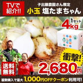 【セット購入でお得！！】塩たまちゃん 小玉サイズ 4kg 送料無料 熊本県産 子出藤 さん の 塩 タマネギ 塩玉 塩玉ねぎ 玉ねぎ たまねぎ ≪7-14営業日発送予定（土日祝除く）≫