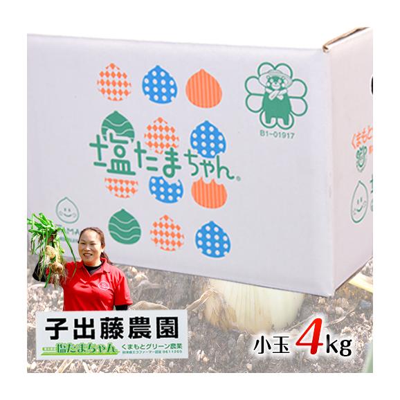 【セット購入でお得！！】塩たまちゃん 小玉サイズ 4kg 送料無料 熊本県産 子出藤 さん の 塩 タマネギ 塩玉 塩玉ねぎ 玉ねぎ たまねぎ ≪7-14営業日発送予定（土日祝除く）≫02