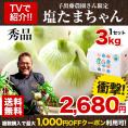 【セット購入でお得！！】塩たまちゃん 秀品 3kg 送料無料 熊本県産 子出藤 さん の 塩 タマネギ 塩玉 塩玉ねぎ 玉ねぎ たまねぎ ≪7-14営業日以内発送予定(土日祝除く)≫