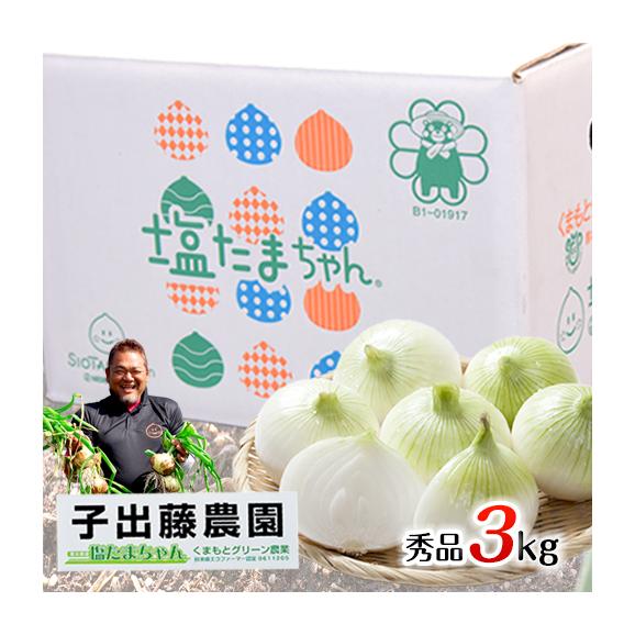 【セット購入でお得！！】塩たまちゃん 秀品 3kg 送料無料 熊本県産 子出藤 さん の 塩 タマネギ 塩玉 塩玉ねぎ 玉ねぎ たまねぎ ≪7-14営業日以内発送予定(土日祝除く)≫02