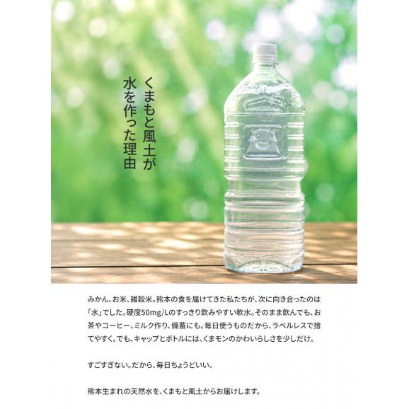 水 天然水 イオン水 2L 10本 熊本イオン純天然水 20L  2リットル 飲料水  2l ケース ラベルレス  くまモン 熊本 保存水 防災 防災グッズ 《8月中旬ー9月中旬より発送予定》02