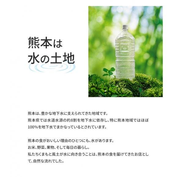 水 天然水 イオン水 2L 10本 熊本イオン純天然水 20L  2リットル 飲料水  2l ケース ラベルレス  くまモン 熊本 保存水 防災 防災グッズ 《8月中旬ー9月中旬より発送予定》03