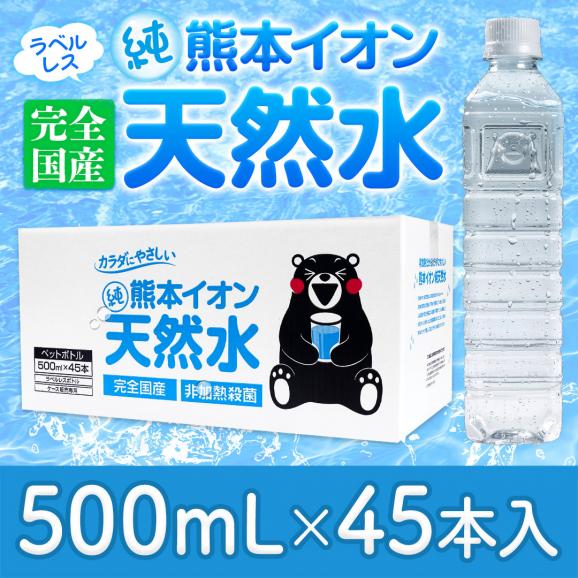 シリカ含有 天然水 水 500ml 45本 熊本イオン純天然水 水 ミネラルウォーター  送料無料 飲料水 くまモン 保存水 防災 天然水 《8月中旬-9月中旬頃より発送予定》》01